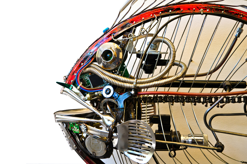 rubbish removal rubbish collection